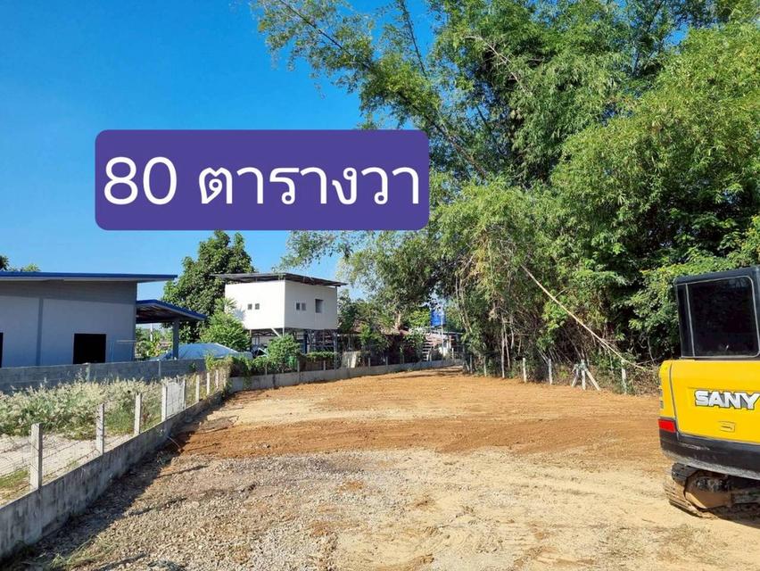 ขายที่ดินปล่าว80ตารางวา 3