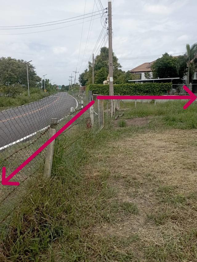 ขายที่ดินสวยติดถนนพร้อมโฉนด 2