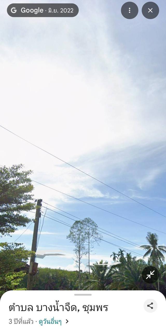 ที่ดิน สวนปาล์มน้ำมัน ต.บางน้ำจืด อ.หลังสวน จ.ชุมพร โฉนด พร้อมโอน 9