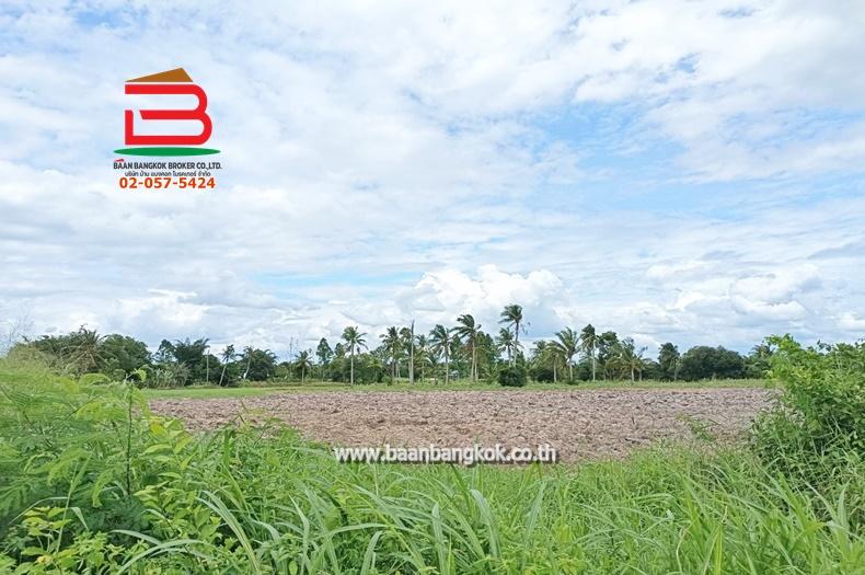 ที่ดินเปล่า ตำบลท่าบุญมี (สี่แยกเกาะโพธิ์) เนื้อที่ 71-0-22 ไร่ (ใกล้อ่างเก็บน้ำคลองหลวงรัชชโลทร) ตำบลท่าบุญมี อำเภอเกาะจันทร์ จังหวัดชลบุรี 3