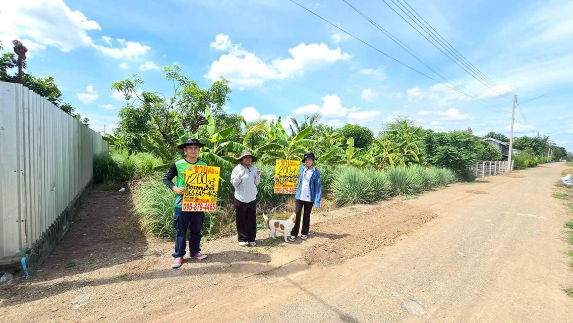 ที่ดิน 200 ตารางวา ติดถนนดิน ซอย คลองห้าตะวันตก 56 คลองหลวง ปทุมธานี 1