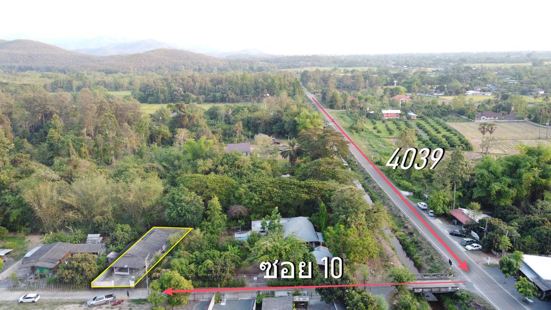บ้านพร้อมที่ดิน 100 ตร.ว. 3 ห้องนอน 2 ห้องน้ำ ห้วยทราย สันกำแพง 4