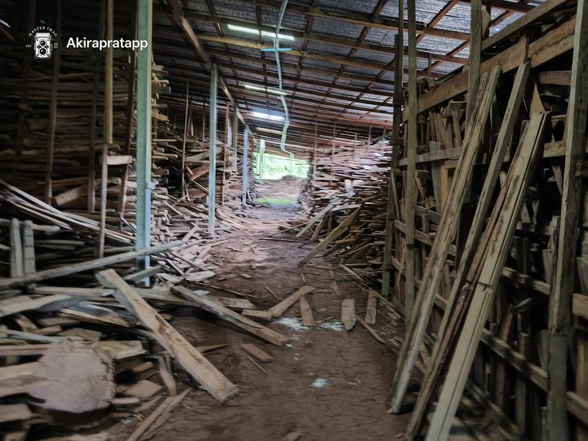 กิจการโรงไม้พร้อมเครื่องจักรทำไม้ 9