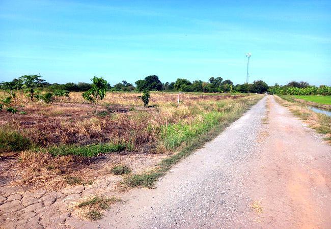 ที่ดิน 2 ไร่ 141 ตร.ว. ซ.วัดวีระโชติธรรมาราม  ตรงข้าม ร.ร.เตรียมพัฒน์ฯ ฉะเชิงเทรา เข้าจากถนนใหญ่สุวินทวงศ์เพียง 900 เมตร ทำเลดี 6