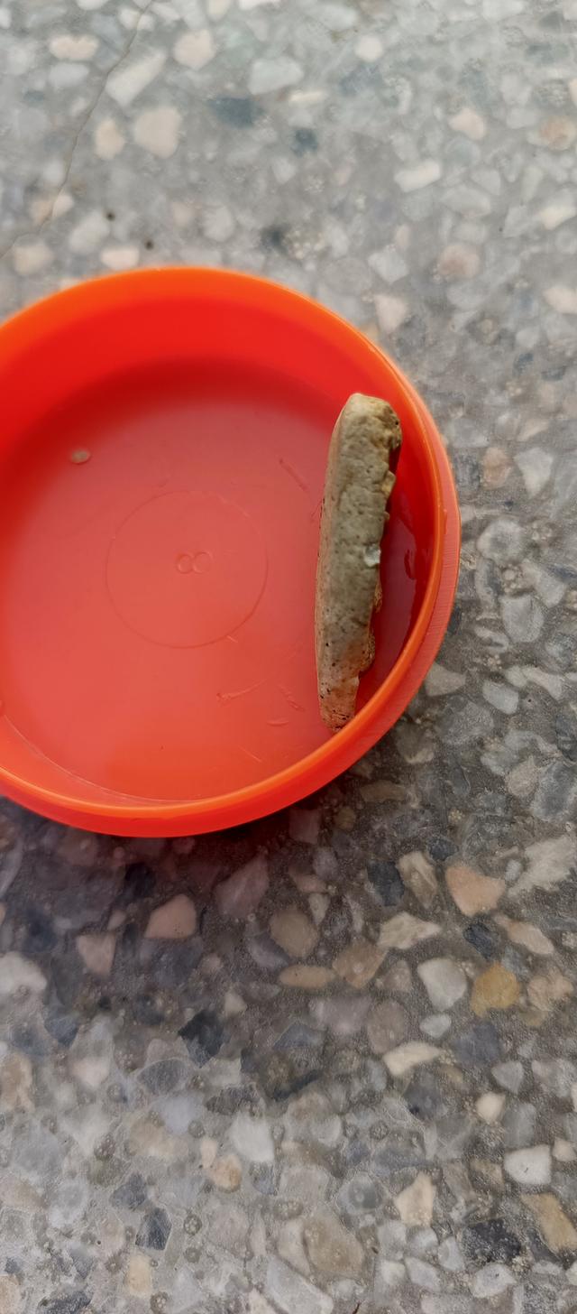 พระผงหลวงปู่โต๊ะ กลีบบัวเล็บช้างปี2468 รูปย่อยที่ 3