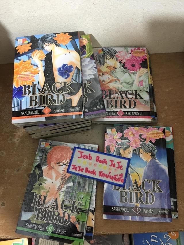 หนังสือการ์ตูน BLACK BIRD 1-18 จบ 2