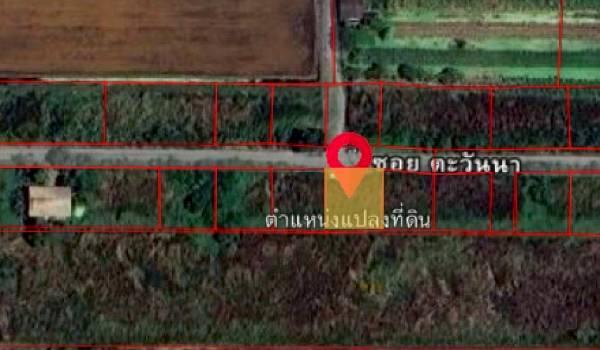 ขายด่วน! ที่ดินจัดสรรทำเลทอง 100 ตร.ว. หน้ากว้าง 18 เมตร x ลึก 20 เมตร คลอง 6 ธัญบุรี – ใกล้ มทร.ธัญบุรี 2