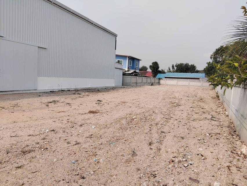 ขายโกดังนาป่าสร้างใหม่ 400 ตรม. ถ.ท้องคุ้ง-หนองรีซอย13 ใกล้ถ.เลียบมอเตอร์เวย์เส้น3701-1กม. เมืองชลบุรี 5