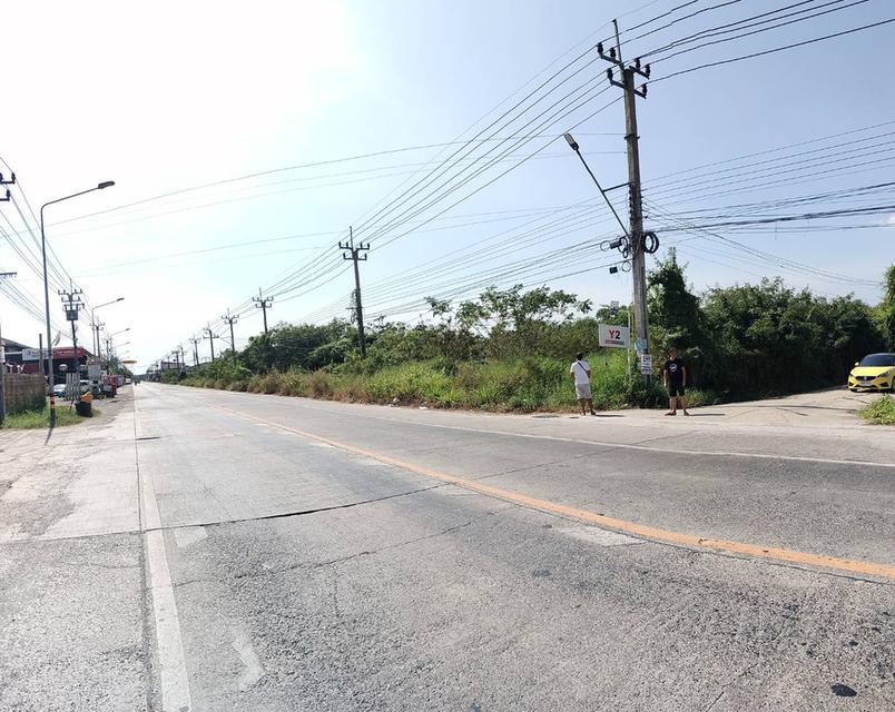 ที่ดินไทรน้อย นนทบุรี ติดถนนใหญ่ ทำเลธุรกิจ 2 ไร่กว่า เจ้าของขายเอง 1