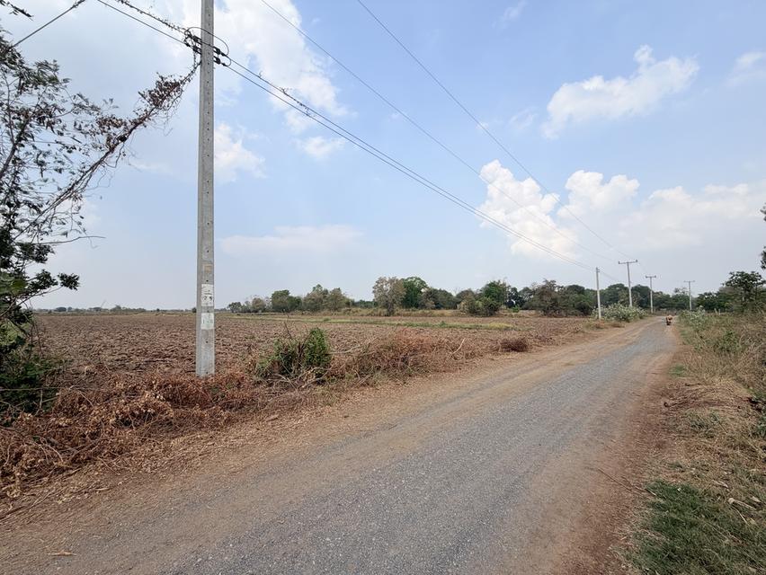 📍ขายที่นา 4ไร่ 3งาน 3.1ตารางวา หน้ากว้าง 40 เมตร น้ำไม่เคยท่วม มีไฟฟ้า น้ำปะปา  ติดถนน 4