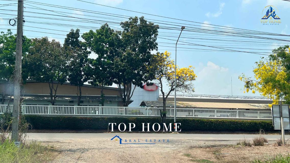 🔥 **ขายด่วน! ที่ดิน 1 ไร่ วังน้อย อยุธยา** 🔥 📍 ใกล้ อบต.สนับทึบ | แปลงสวย ถมแล้ว พร้อมใช้งาน 8