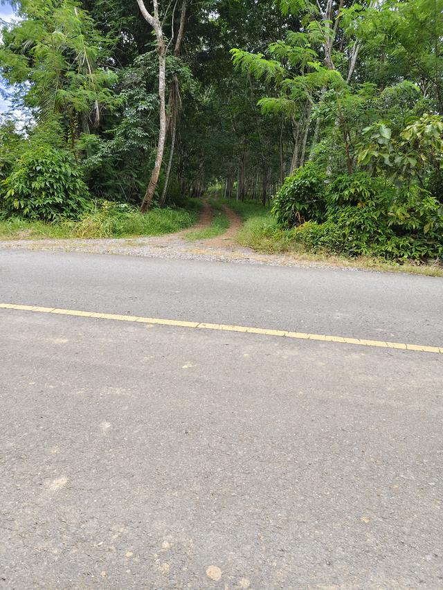 ที่ดิน อ.โป่งน้ำร้อน จ.จันทบุรี 1