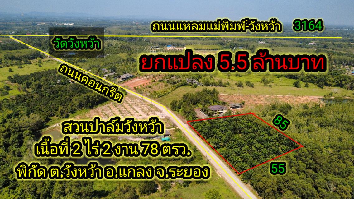 สวนทุเรียนแปลงเล็กระยอง 1