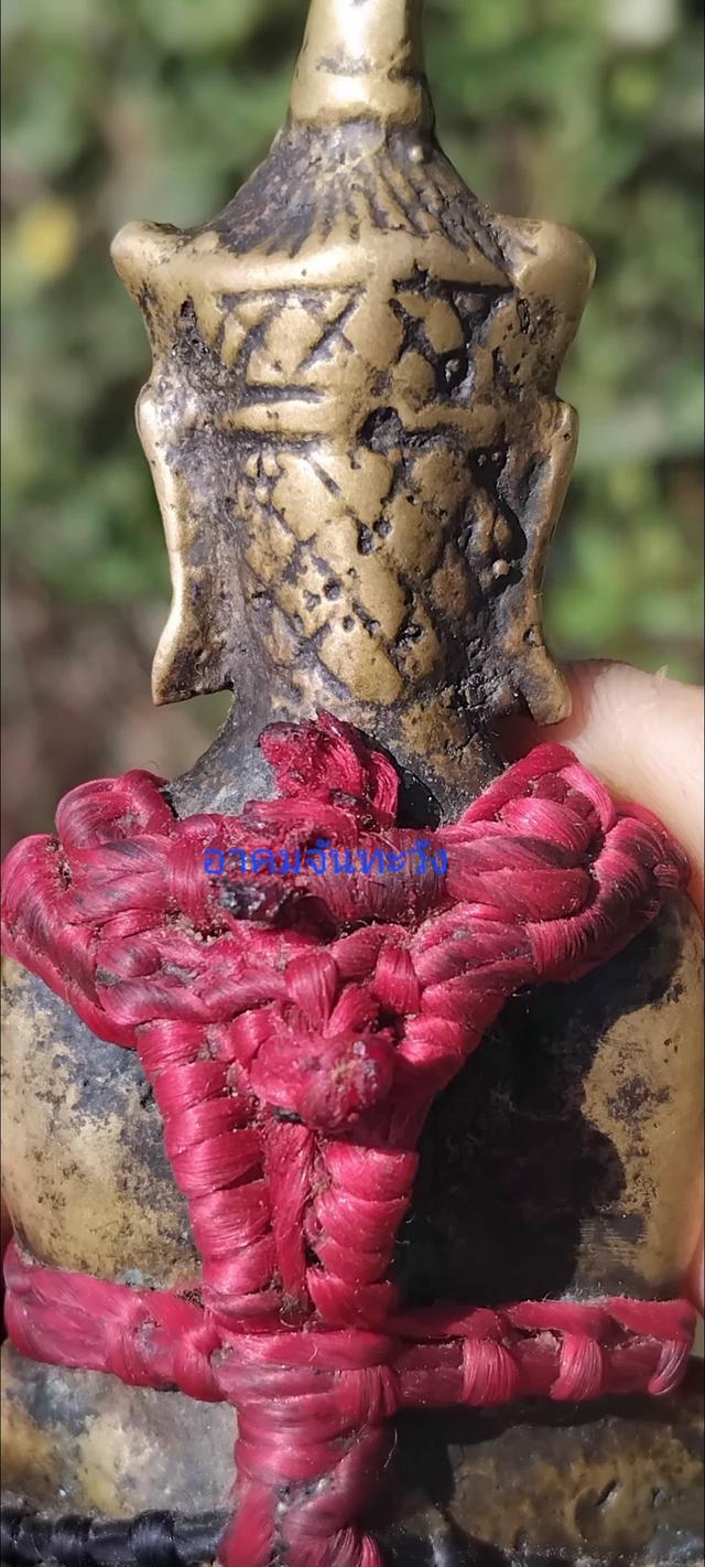 พญางั่งสุวรรณภูมินิ้วกระดก 11