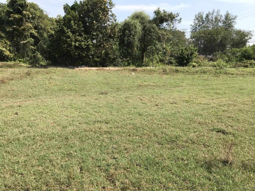 ที่ดินจังหวัด นครนายก 3