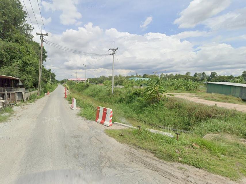ขายที่ดินพานทองสีม่วงลาย 31 ไร่ หลังนิคมอมตะติดถนนลาดยางใกล้แยกพานทอง(ถ.บ้านเก่า3466)-1กม. จ.ชลบุรี 3