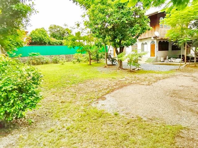 MRTภาษีเจริญ 700ม. จอดรถ 15–20คัน ให้เช่าบ้านไม้ไทย ติดคลองบางจาก เพชรเกษม48-58 เข้าซอย400ม 250 ตารางวา 1,000 ตร.ม. 7