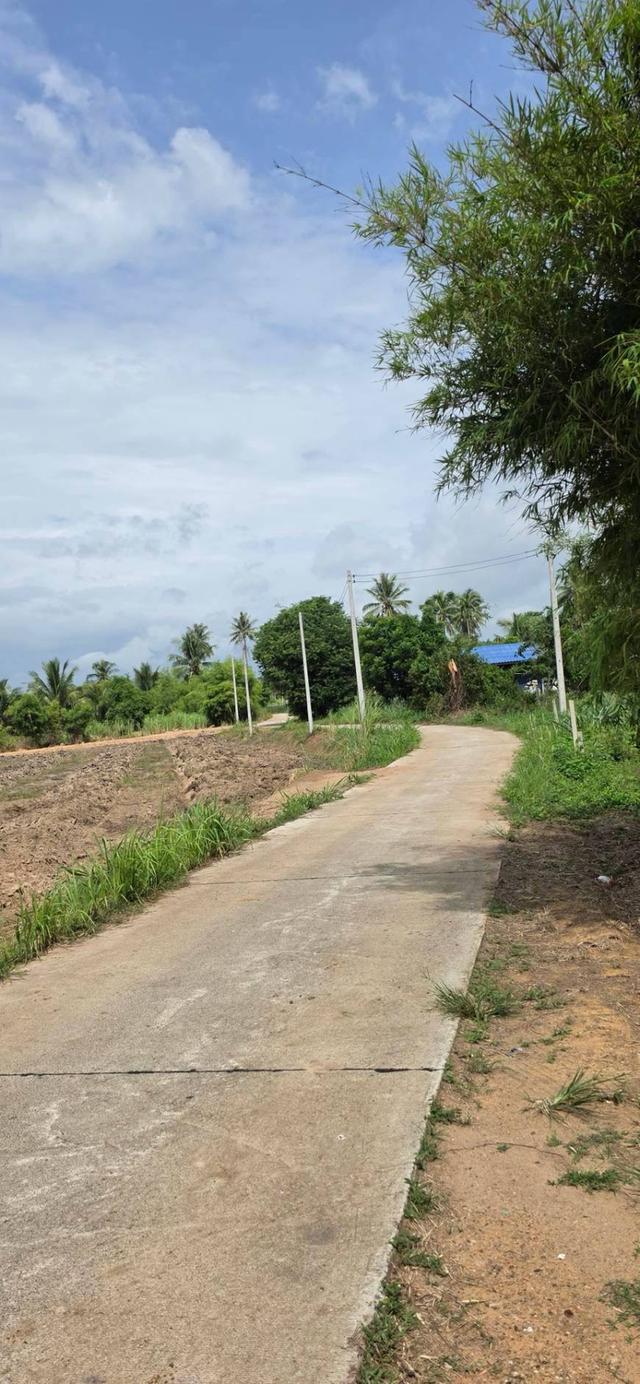 ขายที่ดินวิวภูเขา เขากระปุก เพชรบุรี บรรยากาศธรรมชาติ ราคาเริ่มเพียง 179,000 บาท 3
