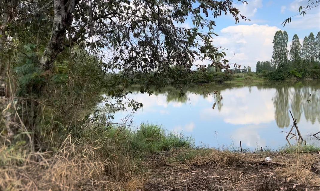 ขายที่ดินสวย เนื่อที่ 14ไร่ 3งาน22ตารางวาอ.เมือง จ.ขอนแก่น 4