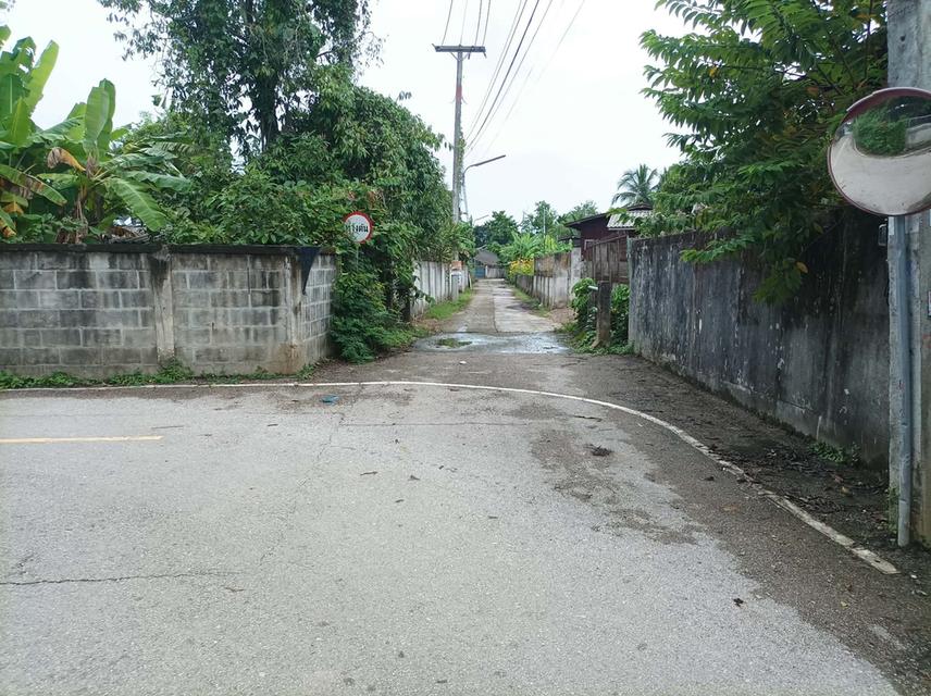 ขายที่ดิน 95ตร.ว. ต.เชิงดอย อ.ดอยสะเก็ด จ.เชียงใหม่ รูปย่อยที่ 3