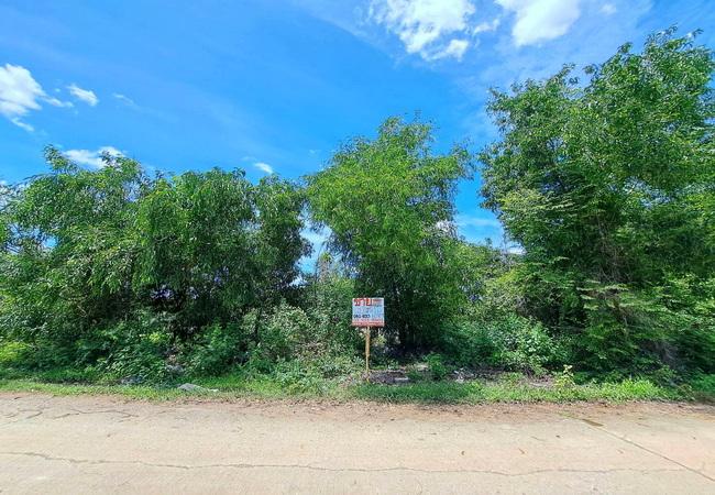 ขายที่ดิน 1 ไร่ คลอง 2 ซอยบงกช 26/1 ถนนรังสิต-นครนายก คลองหลวง ปทุมธานี 2