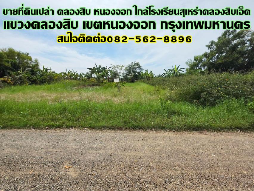 ขายที่ดินเปล่า คลองสิบ หนองจอก ใกล้โรงเรียนสุเหร่าคลองสิบเอ็ด 1