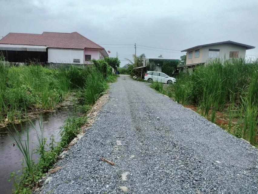 ขายด่วนที่ดินใกล้วัดบางม่วง 50 ตรว ติดถนนสาธารณะ ต.บางม่วง อ.บางใหญ่ จ.นนทบุรี 4