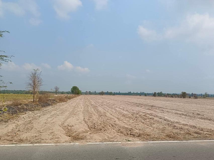 ที่ดิน 89 ไร่ ไร่ละ 170,000 3