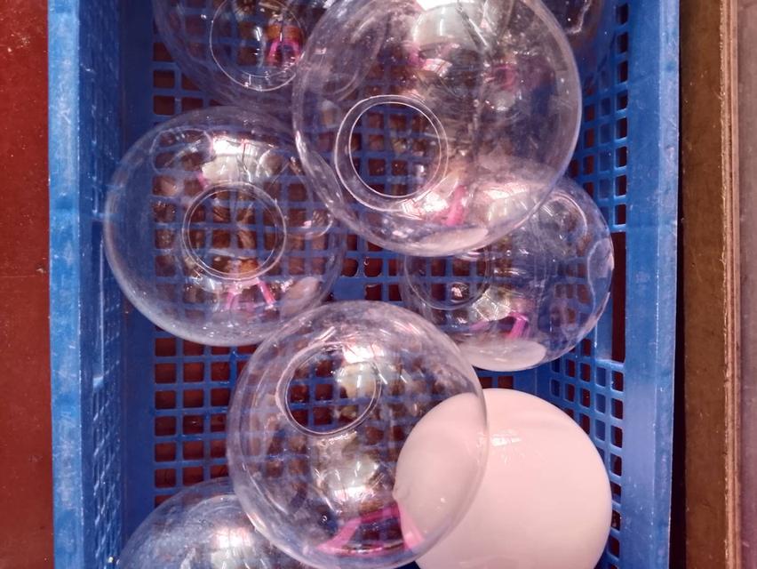 โคมไฟเก่าเก็บโละสต็อก