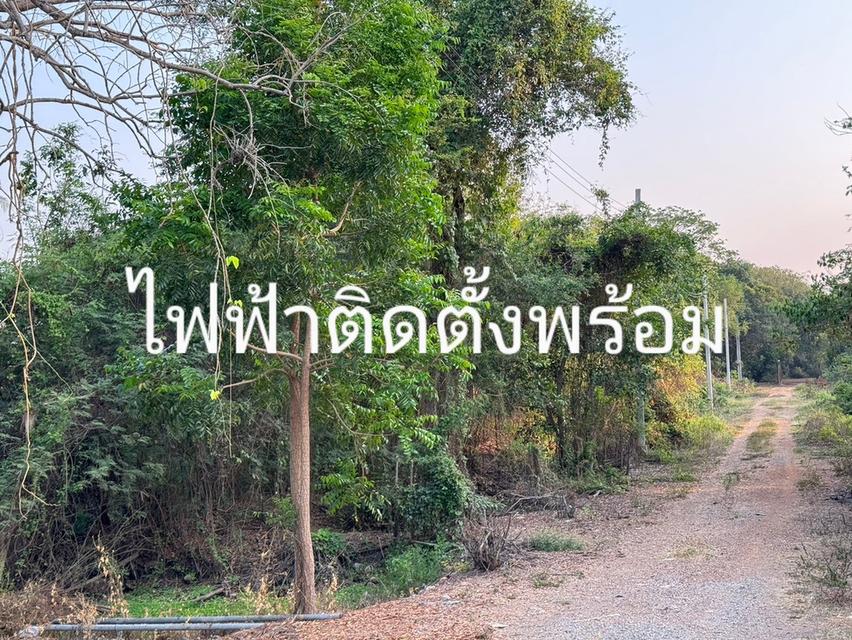 ที่ดิน นนทบุรี 19