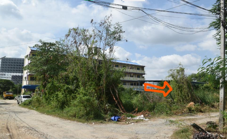 ขายที่ดิน โซนบางใหญ่ 50 ตร.วา ใกล้เซ็นทรัลเวสเก็ต 3