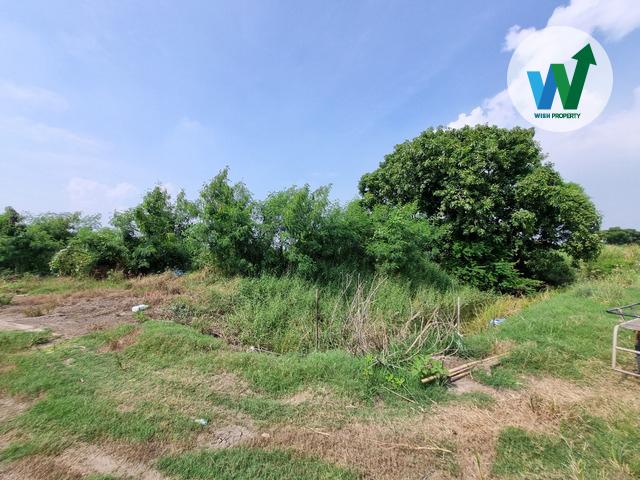 ขายที่ดินในบางปะกง ฉะเชิงเทรา ต.หอมศิล ขนาดพื้นที่ 1 ไร่ 3 งาน 65.8 ตารางวา 10