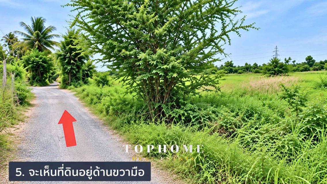 ขายด่วน! ที่ดินเปล่า ซอยแบนชะโด 2 ✨ที่ดินถมแล้ว 📍เขตคลองสามวา กรุงเทพมหานคร 6