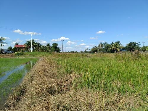 ที่ดิน 1-3-59.0 ไร่ ต.ขามทะเลสอ อ.ขามทะเลสอ จ.นครราชสีมา 12