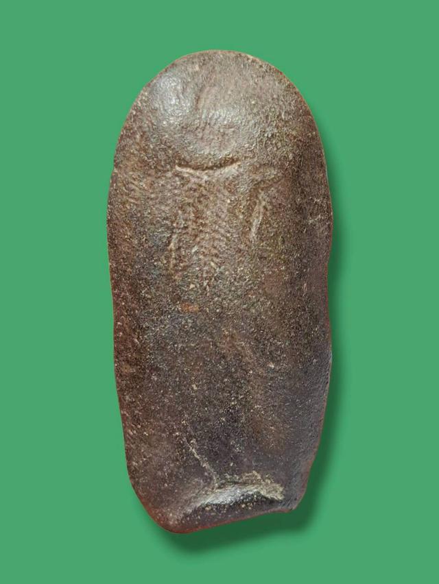 เปิดจ้า💞สนใจทักแชทได้เลยนะคะ 💚ส่งฟรีค่ะ 🥰 รูปที่ 3