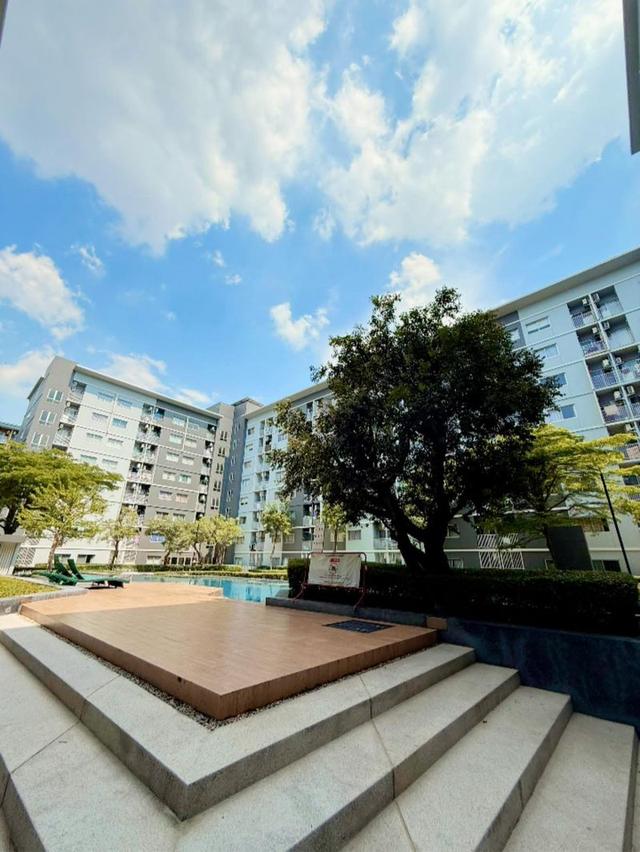 #ขาย / พร้อมผู้เช่า คอนโด PLUM CONDO รังสิต เฟส 2 ขนาด 44 ตร.ม. พร้อมเฟอร์ครบ ใกล้มหาวิทยาลัย เดินทางสะดวก! ‼️ขายเพียง 2,700,000🔥เท่านั้น 13