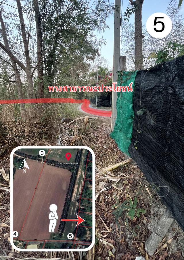 📌 ที่ดิน 26 ไร่ อำเภอดอนเจดีย์ จังหวัดสุพรรณบุรี 9