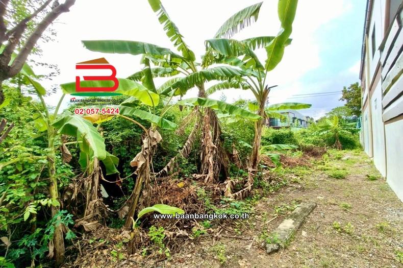 ที่ดินเปล่า เนื้อที่ 87 ตร.ว. ซอยเพชรเกษม 79 แยก 3, ใกล้สำนักงานเขตหนองแขม ถนนเพชรเกษม แขวงหนองค้างพลู เขตหนองแขม 11