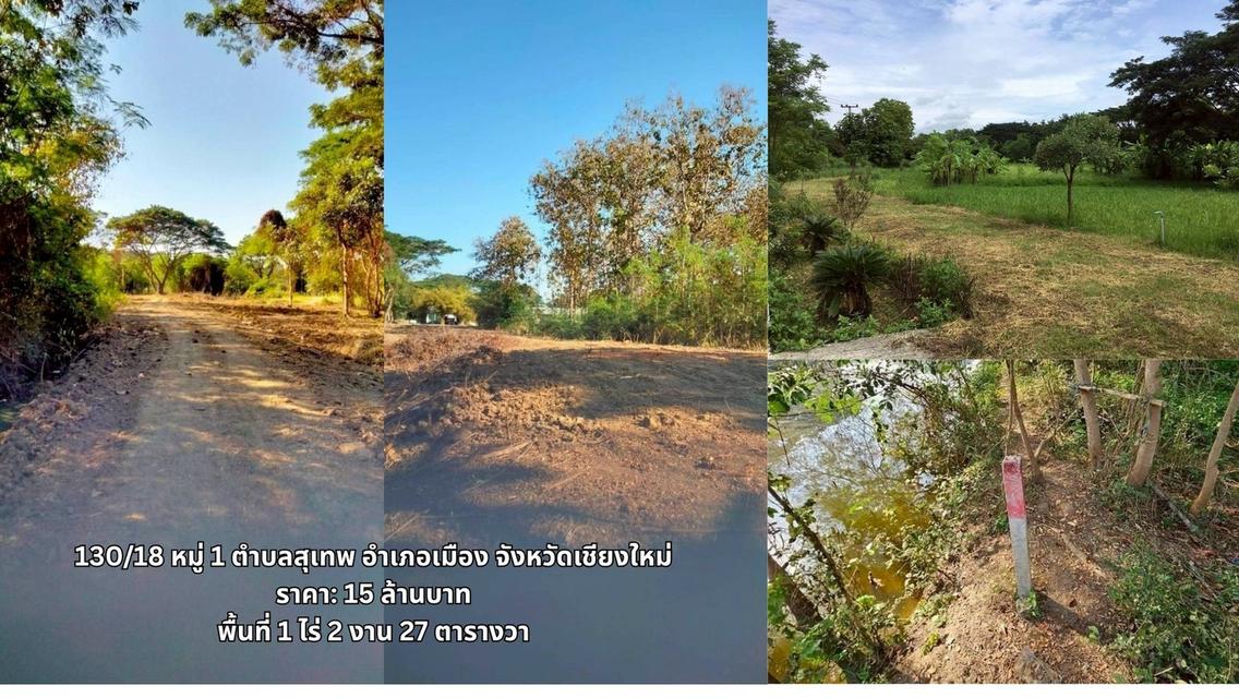 ที่ดินเชียงใหม่ 1
