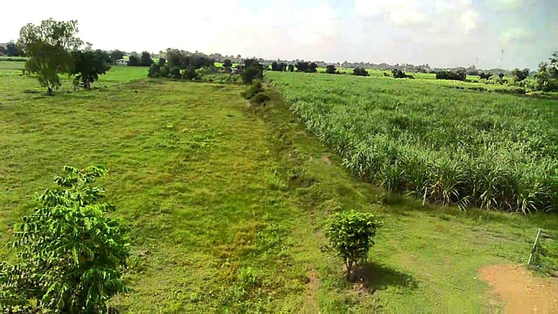 ขายที่ดินเปล่า ทำเลดี ติดถนนปูน ไฟฟ้าถึง จังหวัดสุพรรณบุรี 10