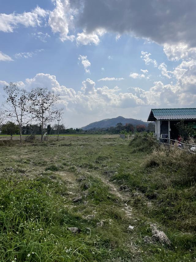 ที่ดินเชียงราย 5 ไร่ 2