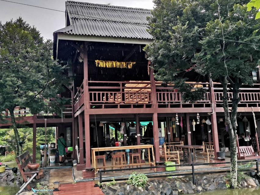 ขายที่ดินพร้อมบ้านเรือนไทย สภาพดี  7-3-70 ไร่ ใกล้ถนน 331  ต.หมอนนาง อ.พนัสนิคม จ.ชลบุรี 8