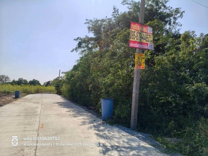 ขายที่ดินลาดหลุมแก้ว 100 ตรว ติดถนนคอนกรีตสาธารณะ ถมแล้ว ถ.ปทุมธานี-บางเลน(346) จ.ปทุมธานี 1