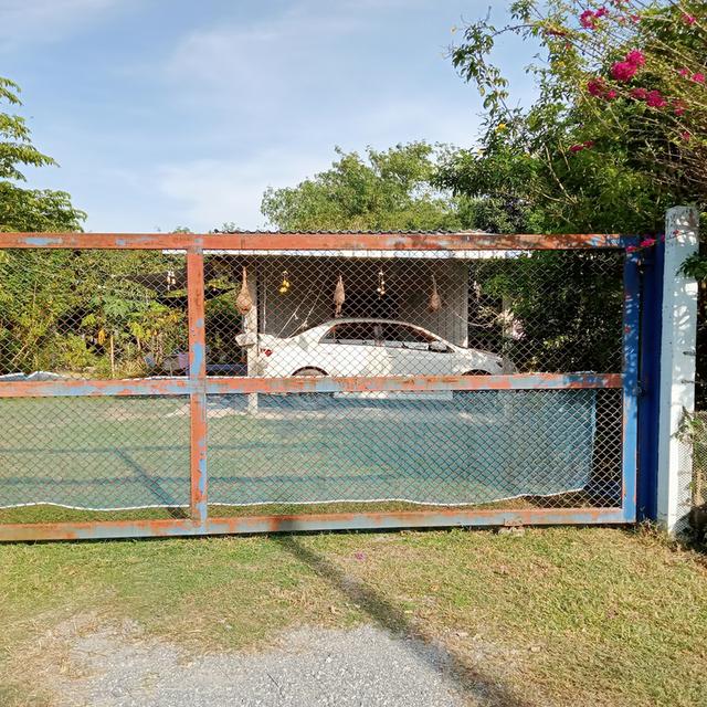 ที่ดินพร้อมสิ่งปลูกสร้างมีบ้านพักน้ำไฟพร้อมและมีสวนมะม่วงประมาณ40ต้นออกผลผลิตแล้วทุกปีสามารถทำกินทำขายได้ 3