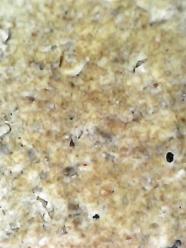 พระสมเด็จวัดระฆังพิมพ์ใหญ่เกศทะลุซุ้ม 10