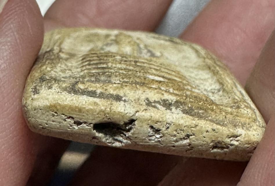 พระสมเด็จ วัดเกศไชโย 5