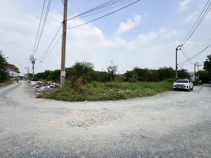 ขายด่วนที่ดิน 115 ตารางวา แปลงมุม ติดถนนสาธารณะ รร.บ้านคลองฝรั่ง อ.ไทรน้อย จ.นนทบุรี 5