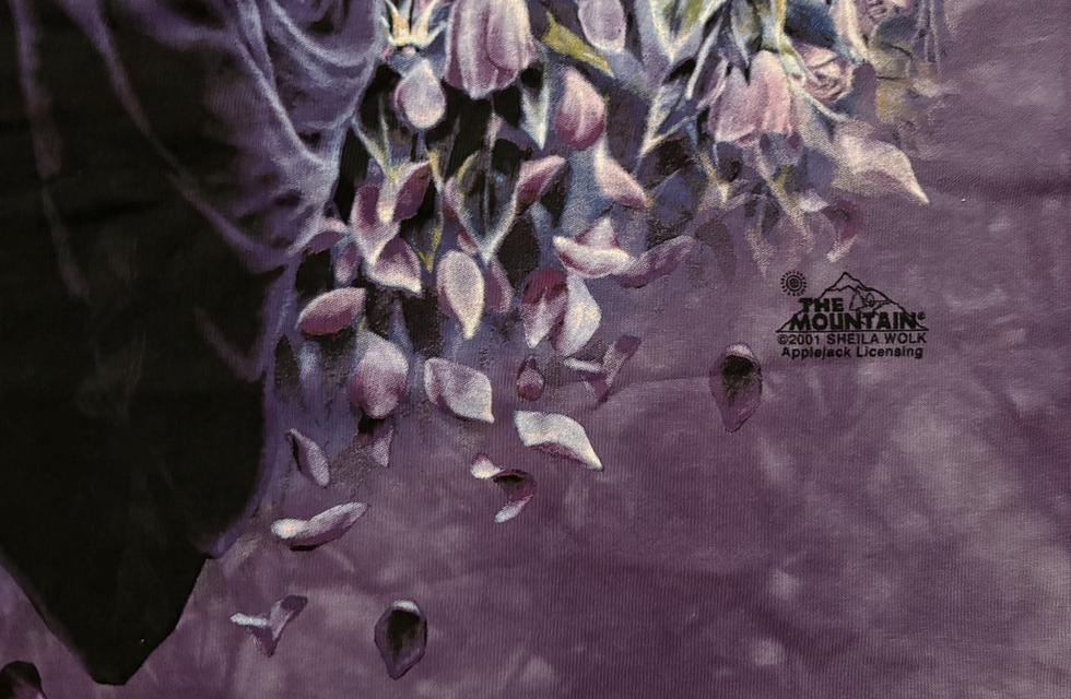 เสื้อยืด The Mountain รูปที่ 3