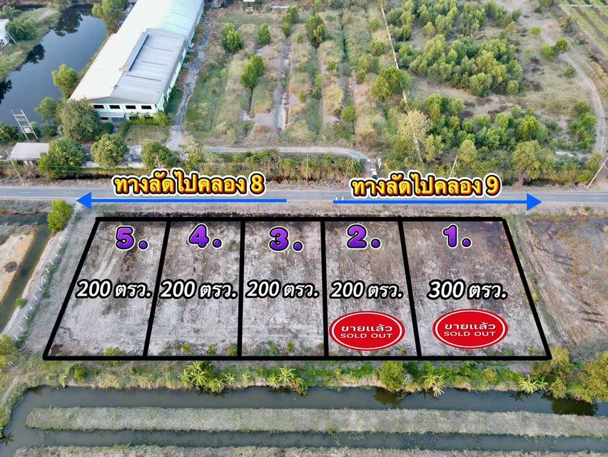 ขายที่ดินบึงชำอ้อ 200 ตรว. คลอง9 ติดถนนลาดยาง อ.หนองเสือ จ.ปทุมธานี 2