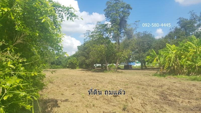 ที่ดินแหลมฉบัง 7ไร่ บางละมุง ชลบุรี 7